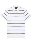forward-hackett-striped-cotton-polo-multicolor-2950_17f69e11-7971-45bd-813b-3a3e55df3cfe